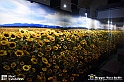 VBS_8127 - Van_Gogh_experience